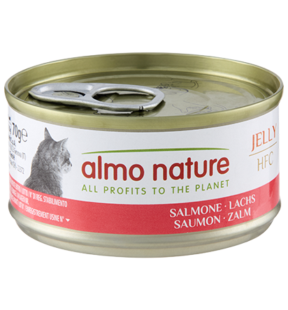 ALMO NATURE - Cat Wet Food HFC SALMON 70GR