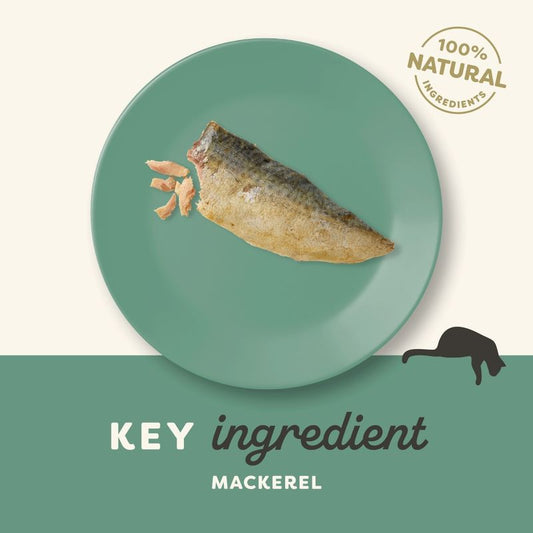Applaws Cat Natural Treat-Loin Whole Mackerel Loin 30g-12
