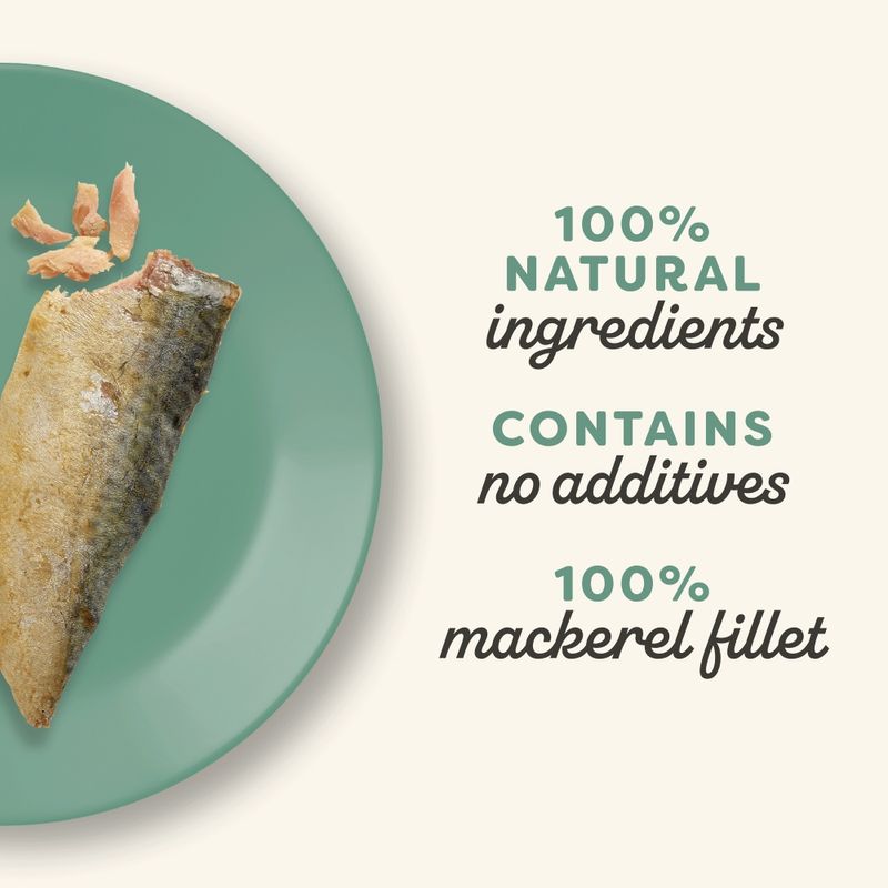 Applaws Cat Natural Treat-Loin Whole Mackerel Loin 30g-12