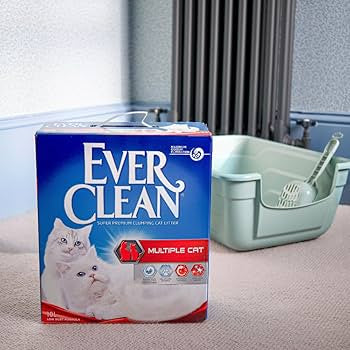 Ever Clean Arena Multiple Cat