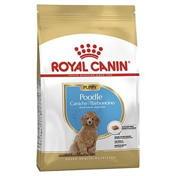 Royal Canin BHN POODLE PUPPY