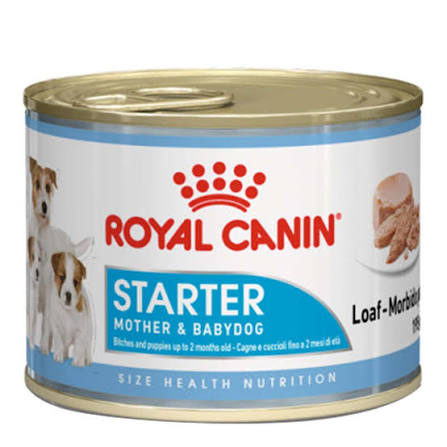 Royal Canin STARTER MOUSSE DOG
