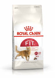 Royal Canin Cat Food Dry FHN FIT32 15KG 15kg