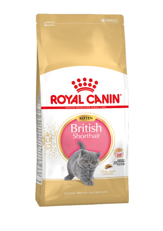 Royal Canin Dog Food Dry FBN BRITISH SHORTHAIR KITTEN 2KG 2kg