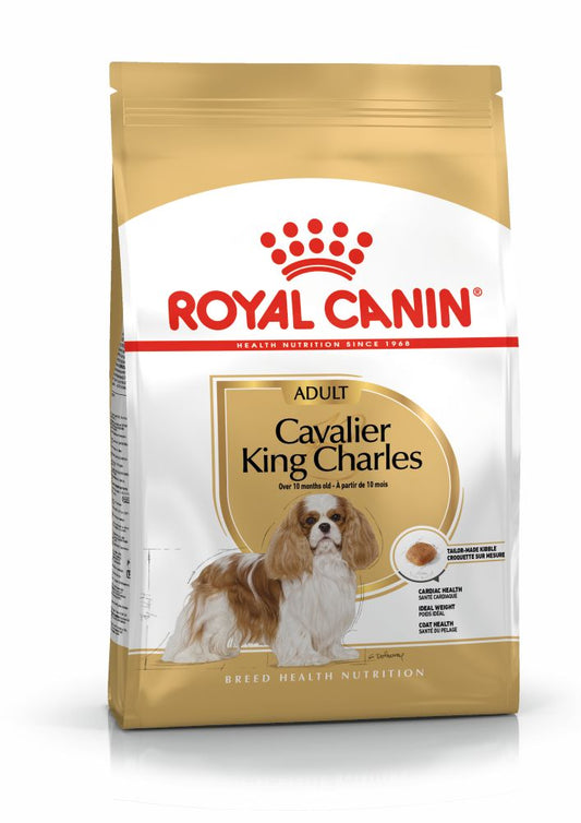 Royal Canin Dog Food Dry BHN CAVALIER KC ADULT 1,5KG 1,5kg