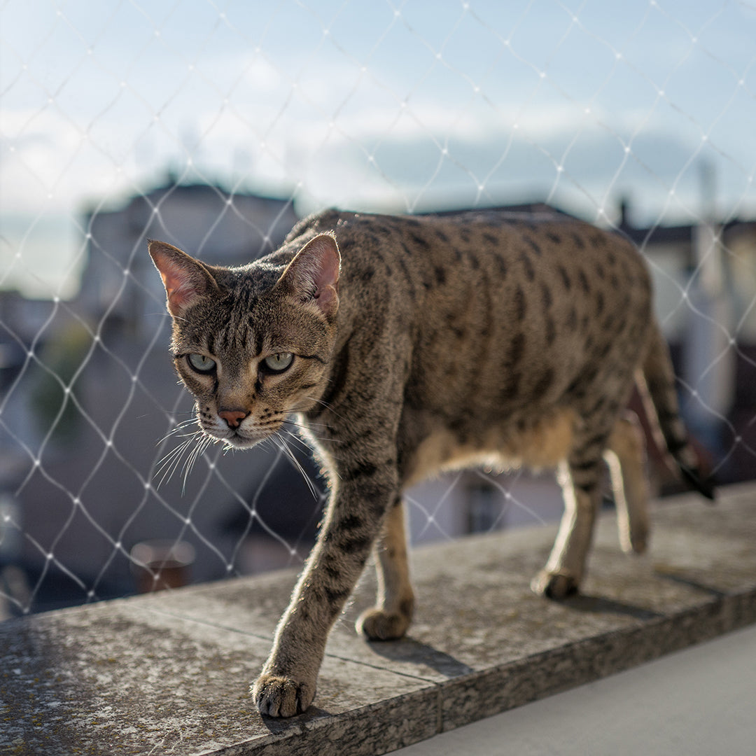Duvo+ Transparent Balcony Safety Net