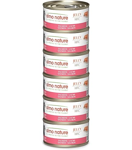 ALMO NATURE - Cat Wet Food HFC JELLY MEGA SALMON 6X70GR