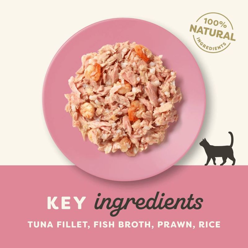 Applaws Cat Wet Food Adult Broth Tins Tuna Fillet and Prawn 70g-24
