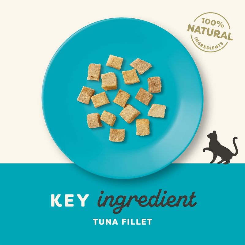 Applaws Cat  Treat Freeze Dried Tuna Fillet Freeze Dried 10g-12