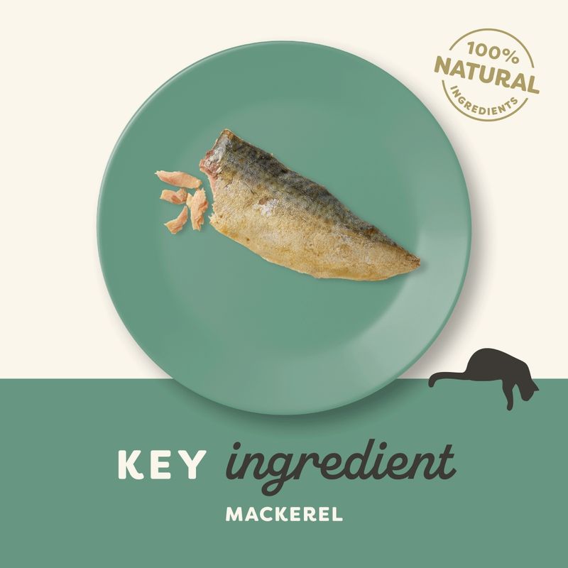 Applaws Cat Natural Treat-Loin Whole Mackerel Loin 30g-12