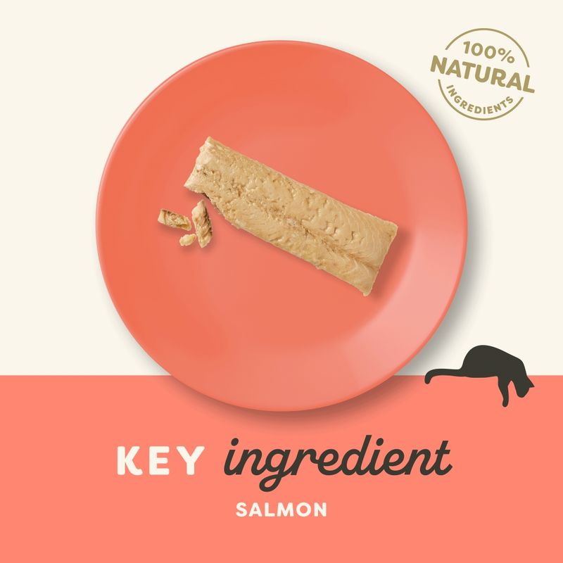 Applaws Cat  Natural Treat-Loin Whole Salmon Loin 30g-12