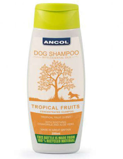 Ancol Dog Shampoo - Tropical Fruits 200ml