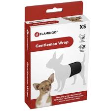Flamingo Gentleman Male Dog Wrap