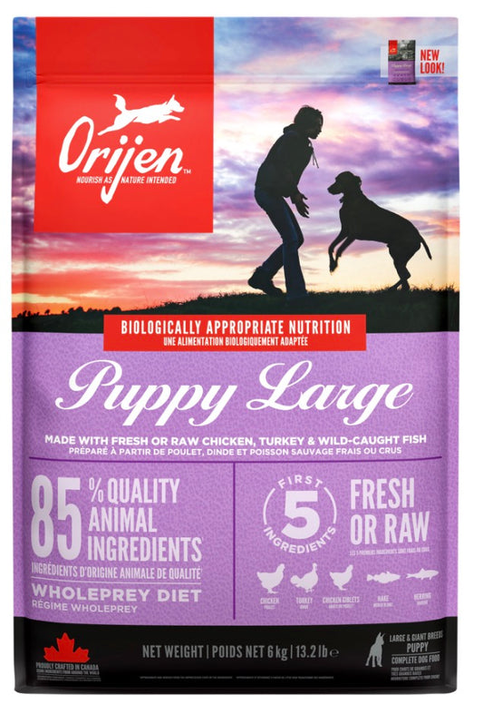 Orijen Food For Dog Dry Puppy Large