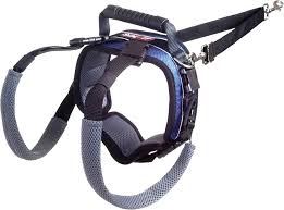 PetSafe CareLift Rear Support Harness