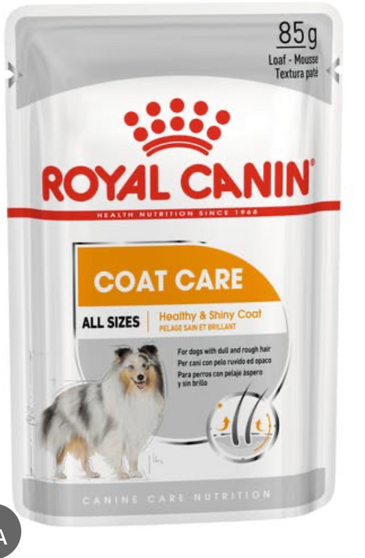 Royal Canin Dog Food Wet CCN COAT LOAF 12X85G