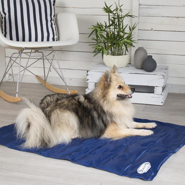 Scruffs cooling mat for dogs