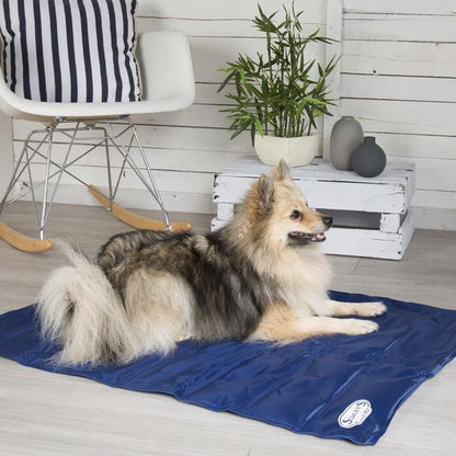 Scruffs cooling mat for dogs
